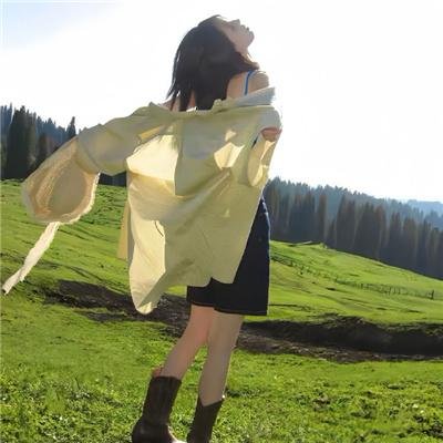 炮打双灯海报